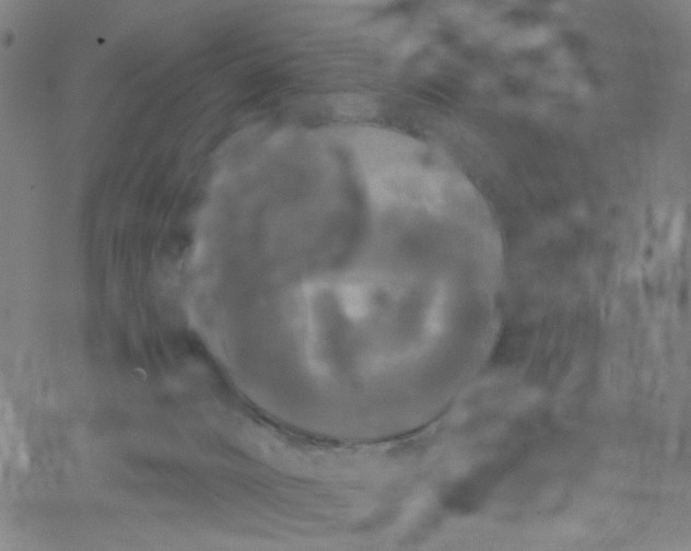 X0000067390032200604131943