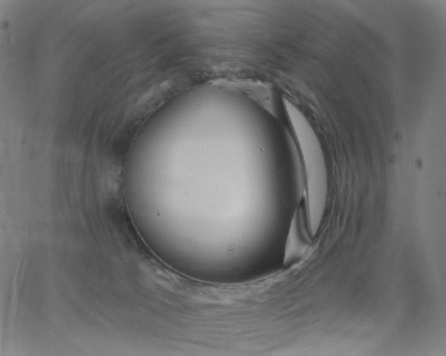 X0000067390033200604131943