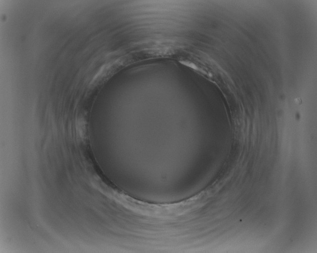 X0000067390035200604131943