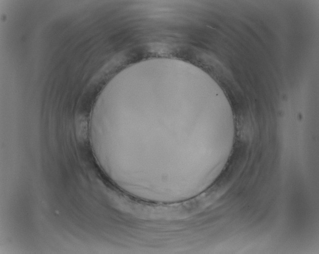 X0000067390036200604131943