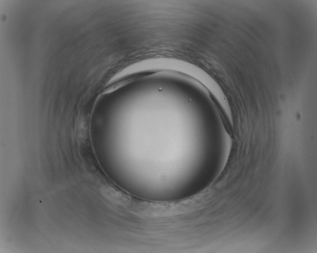 X0000067390037200604131943