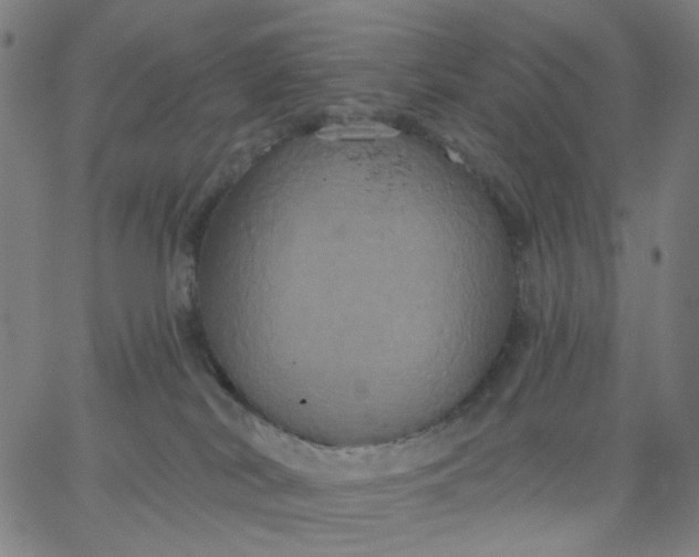 X0000067390038200604131943