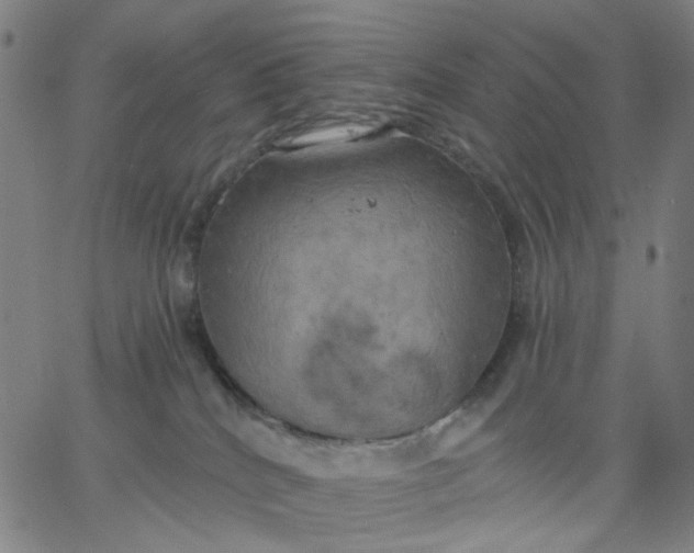 X0000067390040200604131943