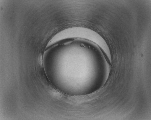 X0000067390041200604131943