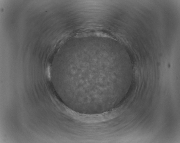 X0000067390042200604131943