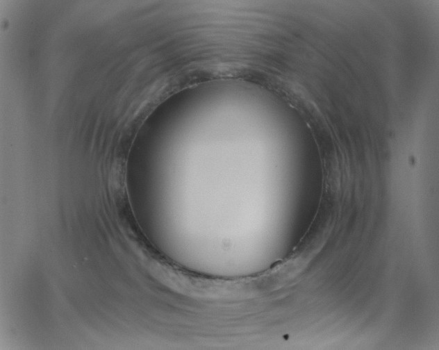 X0000067390044200604131942