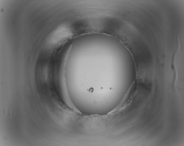 X0000067390045200604131942