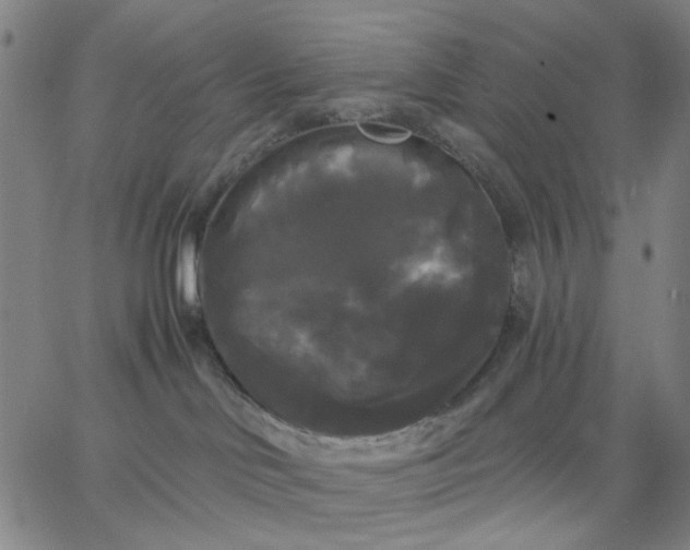 X0000067390046200604131942