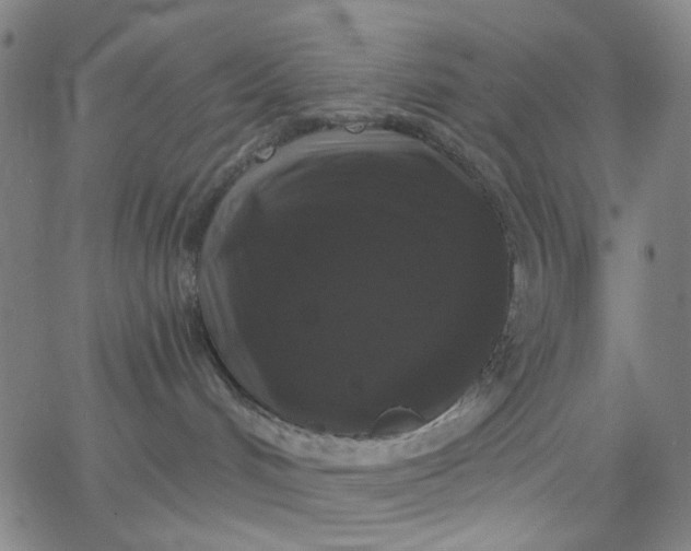 X0000067390048200604131942