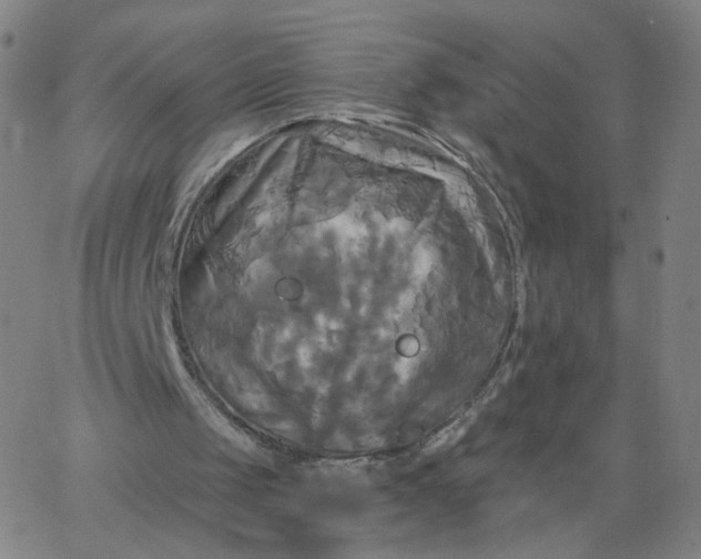 X0000067390049200604131942