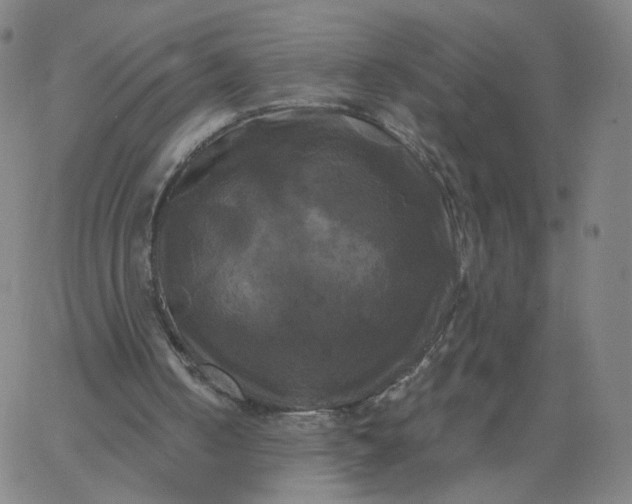 X0000067390050200604131942