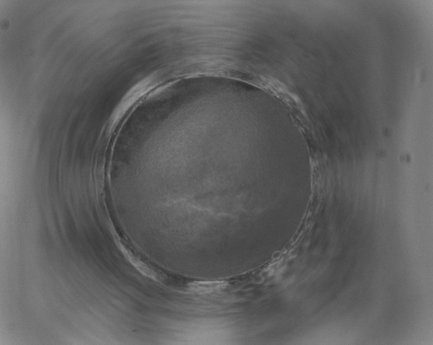 X0000067390051200604131942