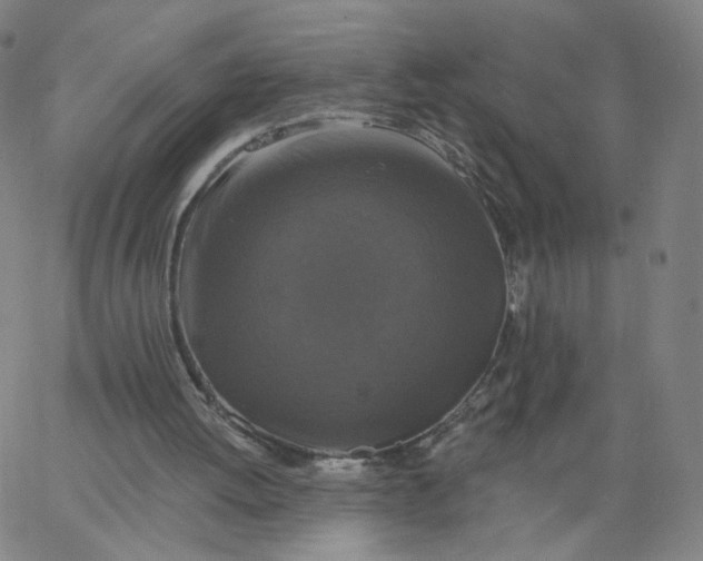 X0000067390052200604131942