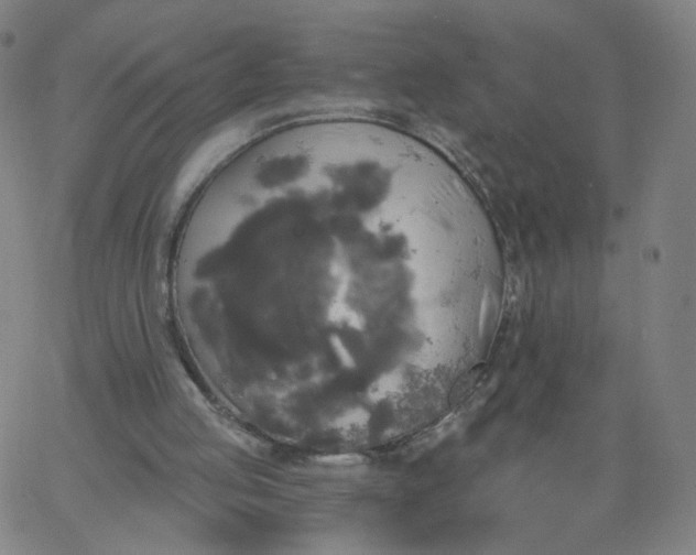 X0000067390053200604131942