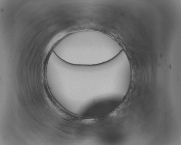 X0000067390054200604131942