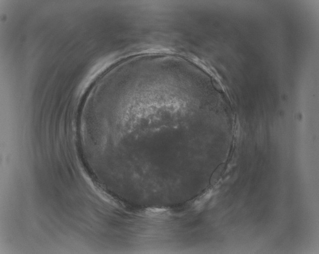 X0000067390055200604131942