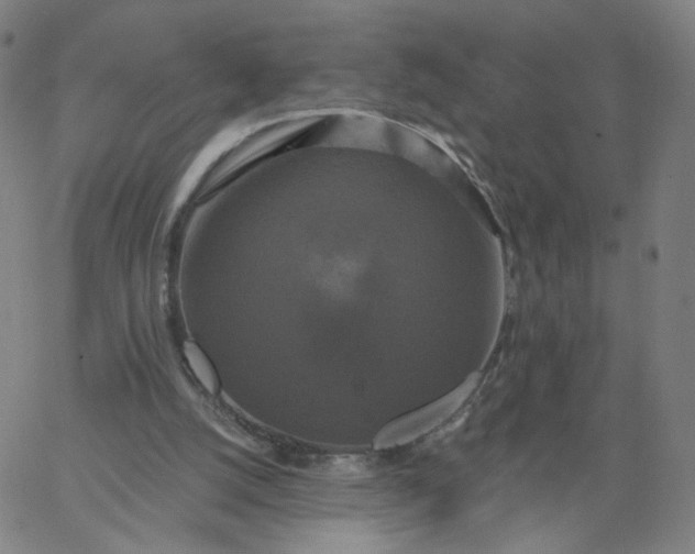 X0000067390056200604131942