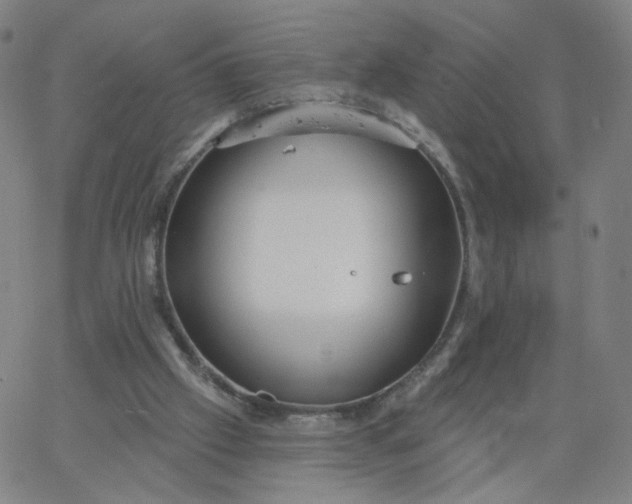 X0000067390057200604131942