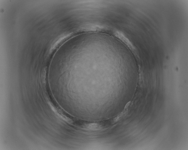 X0000067390058200604131942