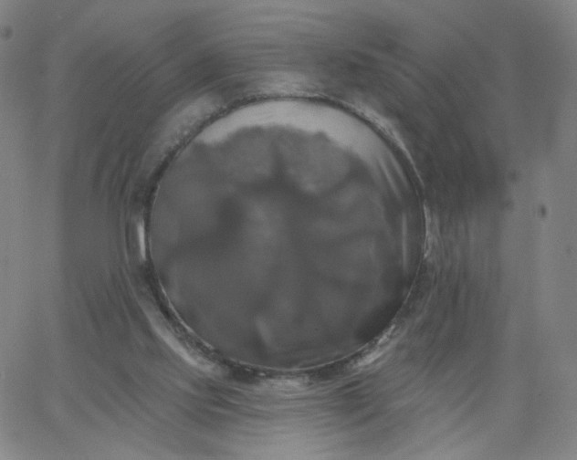 X0000067390061200604131942