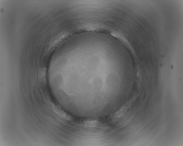 X0000067390066200604131942