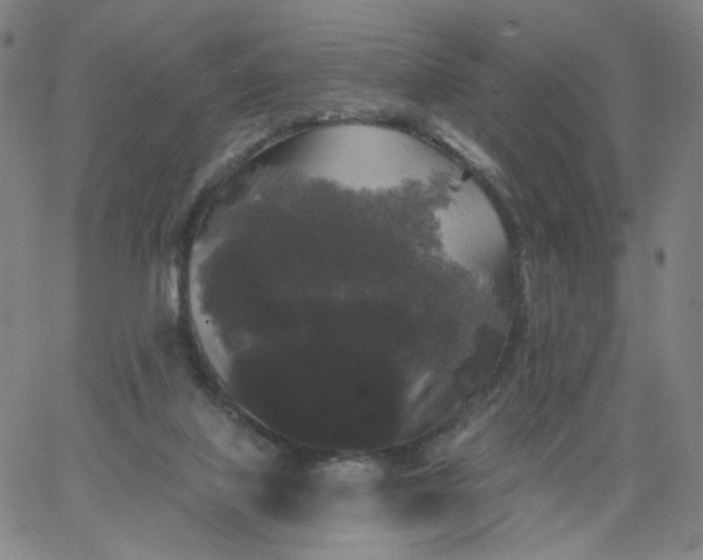 X0000067390067200604131942