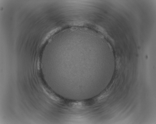 X0000067390068200604131942