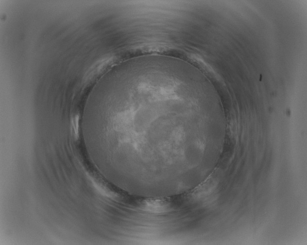 X0000067390070200604131942