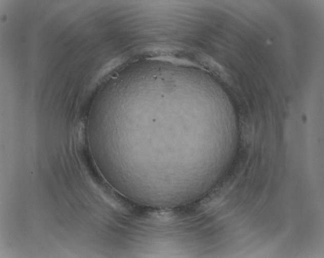 X0000067390071200604131942