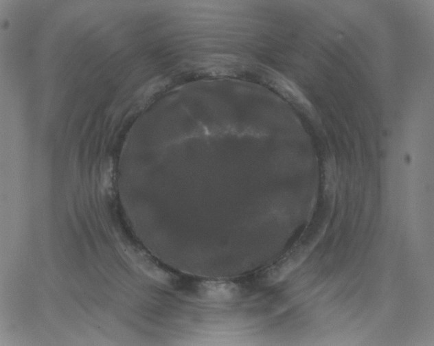 X0000067390073200604131942