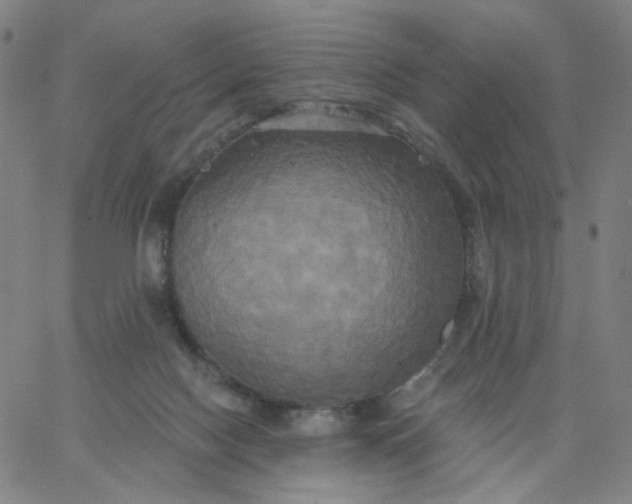 X0000067390074200604131942