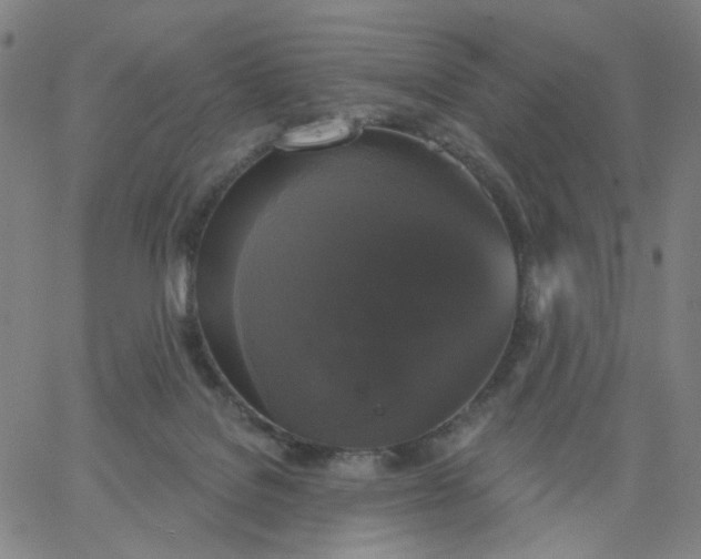 X0000067390076200604131942