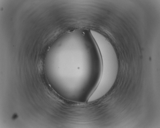 X0000067390077200604131942