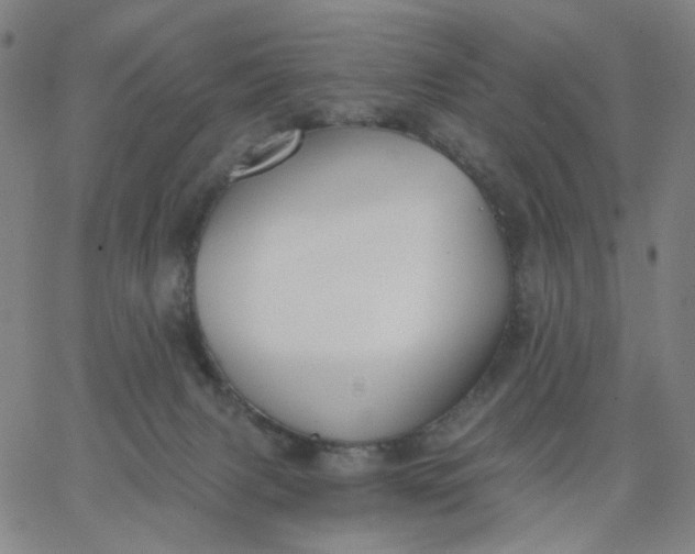 X0000067390079200604131942