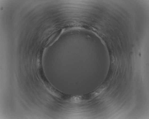 X0000067390080200604131942