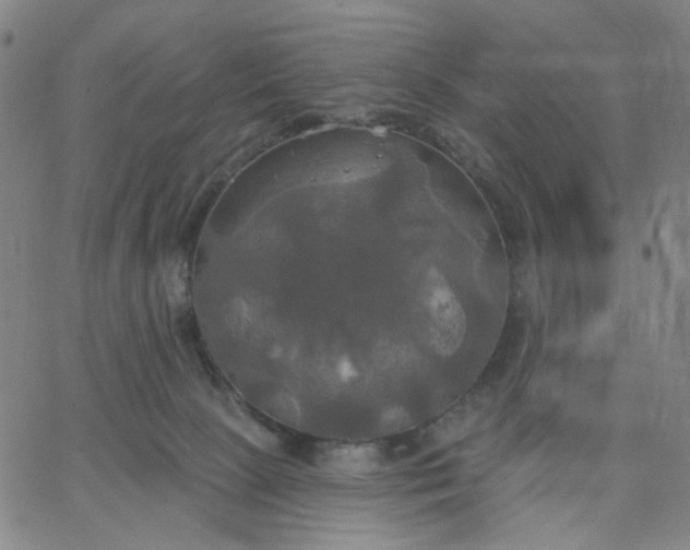 X0000067390081200604131942