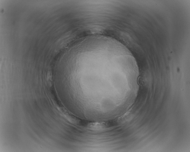 X0000067390082200604131942