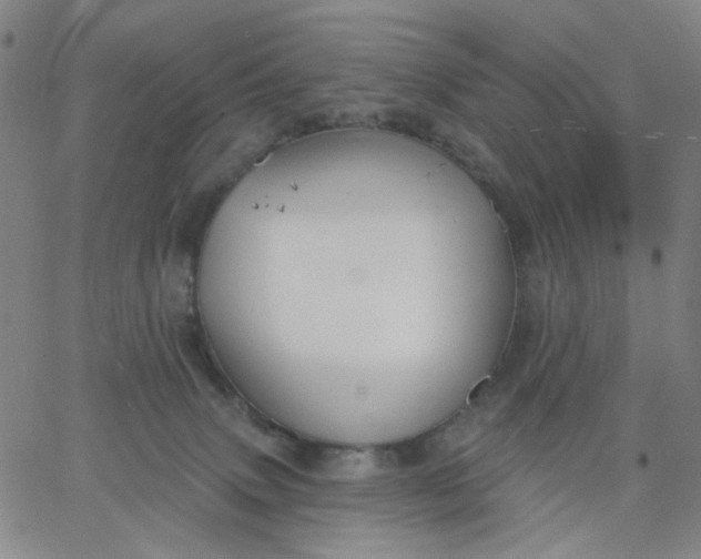 X0000067390083200604131942