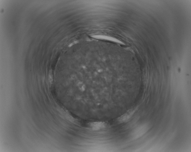 X0000067390085200604131942