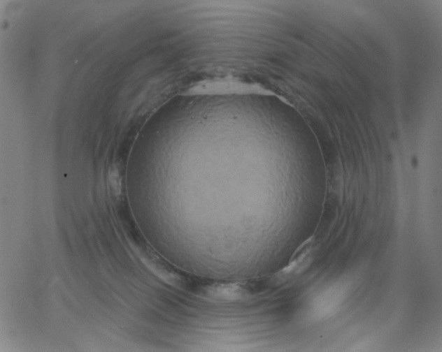 X0000067390086200604131942