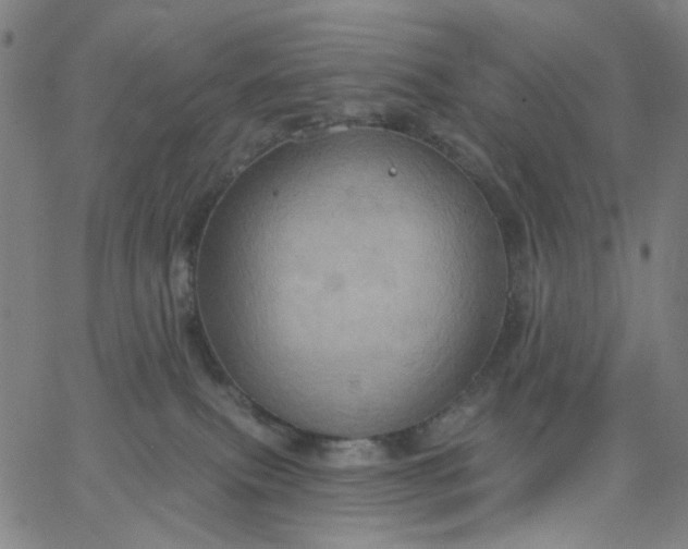 X0000067390087200604131942