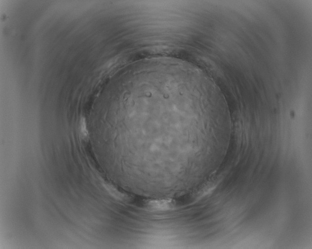 X0000067390089200604131942