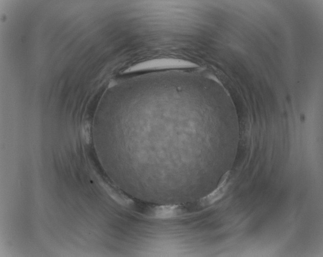 X0000067390090200604131942