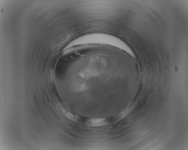 X0000067390093200604131942