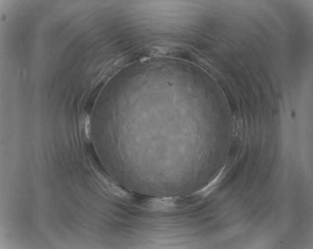 X0000067390094200604131942