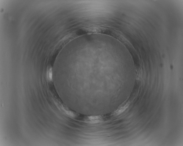 X0000067390095200604131942