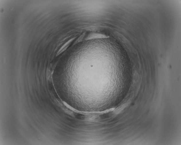 X0000067390096200604131942