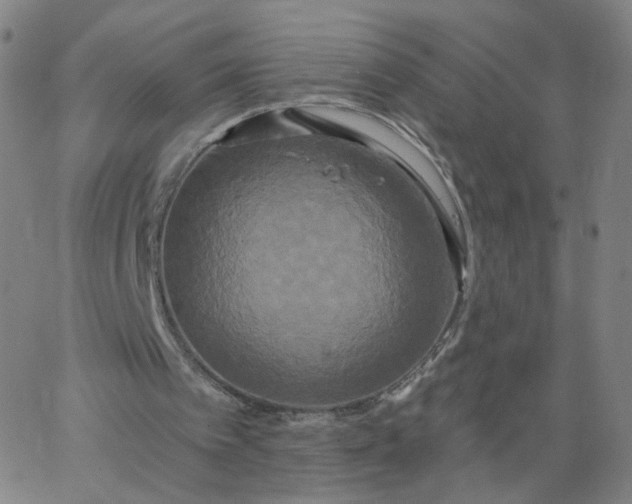 X0000067390097200604131942