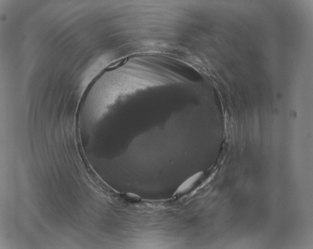 X0000067390099200604131942