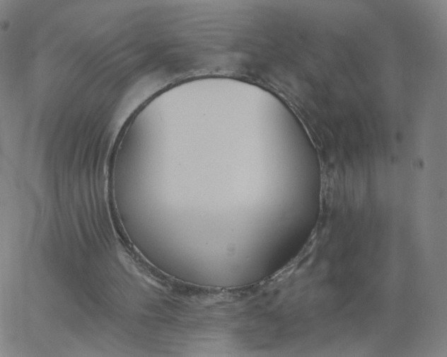 X0000067390100200604131942